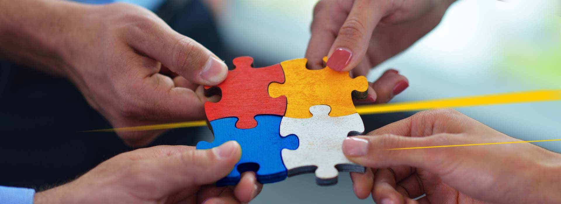 Puzzle LGI brands